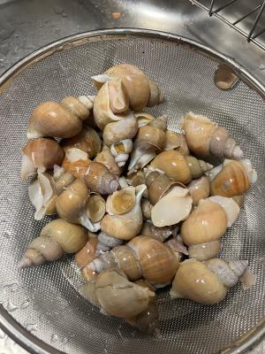 후기 이미지