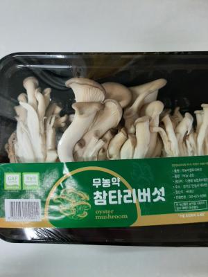 상품평 이미지