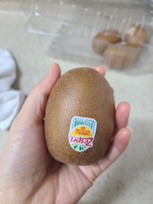 상품평 이미지