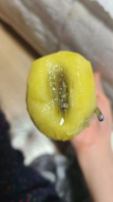 상품평 이미지
