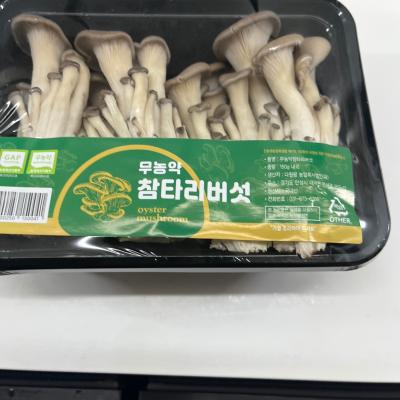 상품평 이미지