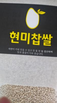 상품평 이미지