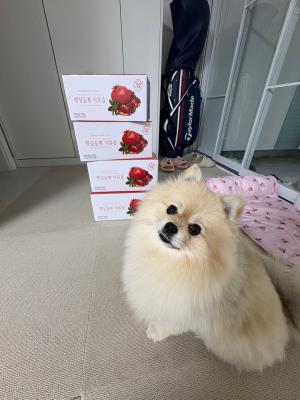 후기 이미지