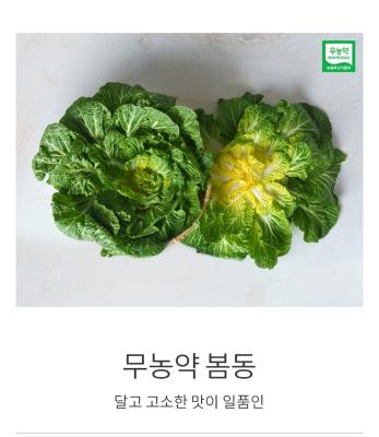 사진후기 대표 이미지