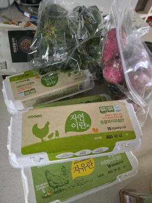 상품평 이미지