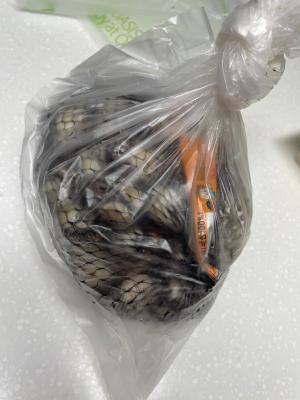 상품평 이미지