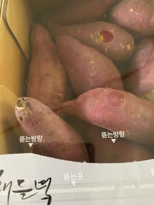 사진후기 대표 이미지