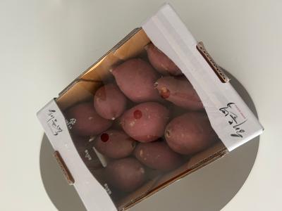 사진후기 대표 이미지
