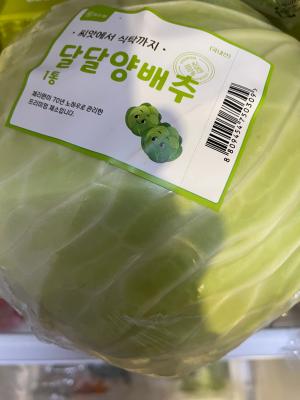 사진후기 대표 이미지