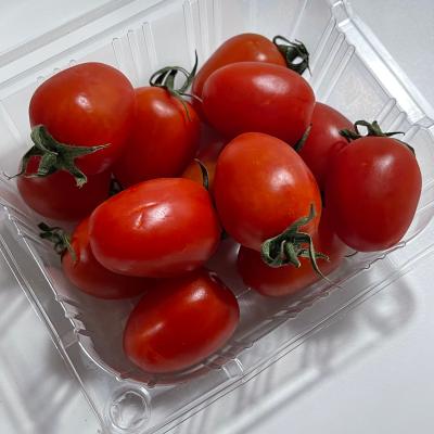상품평 이미지