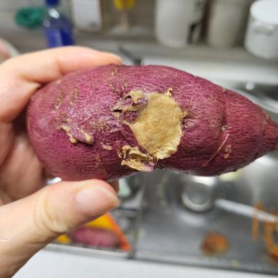 사진후기 대표 이미지