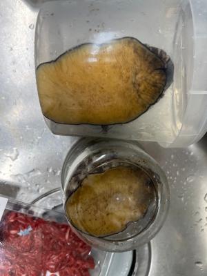 구매후기 사진