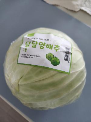 사진후기 대표 이미지