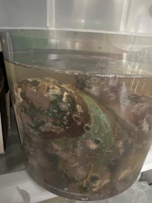 구매후기 사진