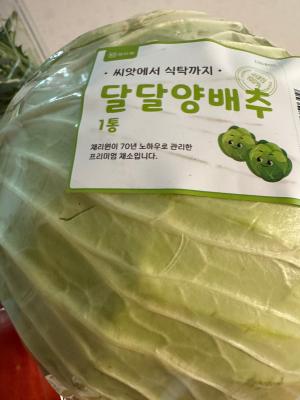 사진후기 대표 이미지
