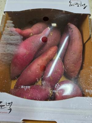 사진후기 대표 이미지