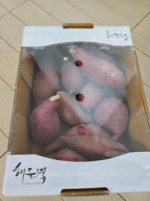 사진후기 대표 이미지