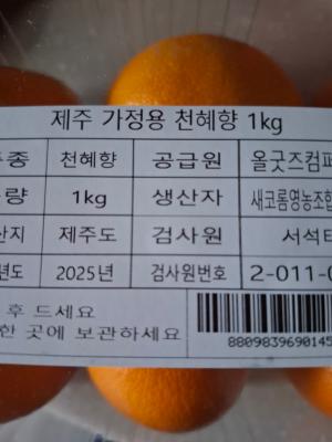 사진후기 대표 이미지