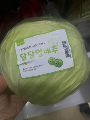 사진후기 대표 이미지
