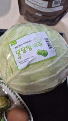 사진후기 대표 이미지