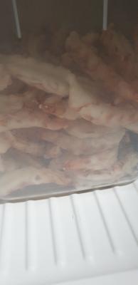 사진후기 대표 이미지