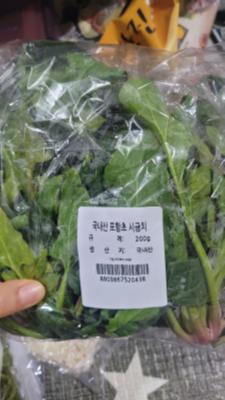 사진후기 대표 이미지