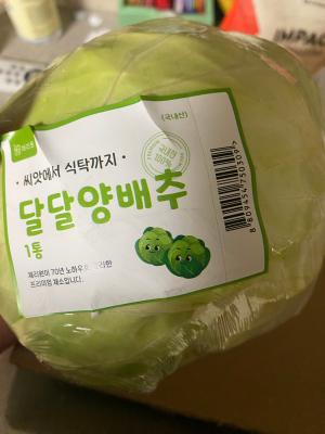 사진후기 대표 이미지