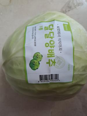 사진후기 대표 이미지
