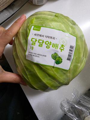 사진후기 대표 이미지