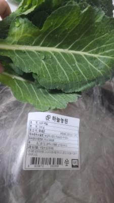 상품평 이미지