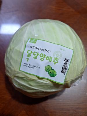 사진후기 대표 이미지