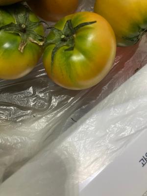 구매후기 사진