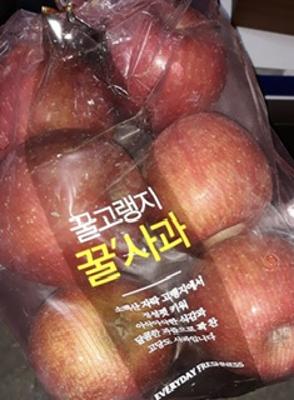사진후기 대표 이미지