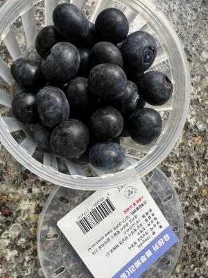 사진후기 대표 이미지