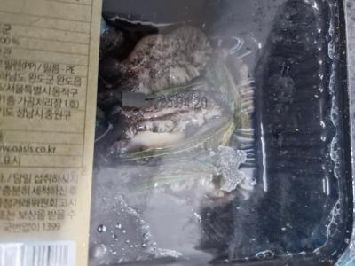 구매후기 사진