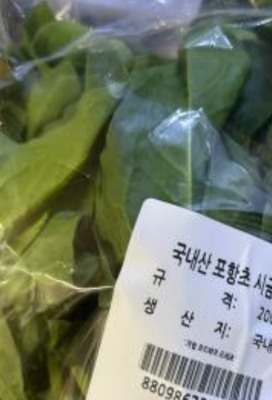 사진후기 대표 이미지