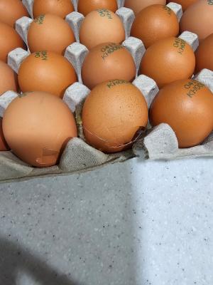 상품평 이미지