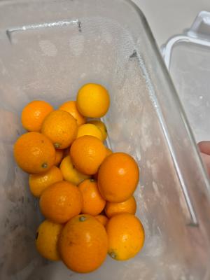 상품평 이미지