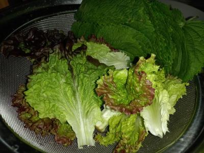 구매후기 사진