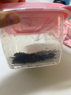 상품평 이미지