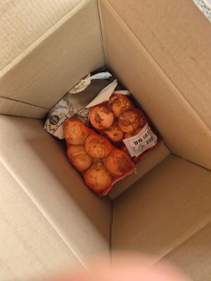 구매후기 사진
