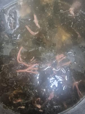 구매후기 사진
