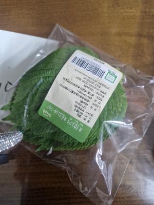 사진후기 대표 이미지