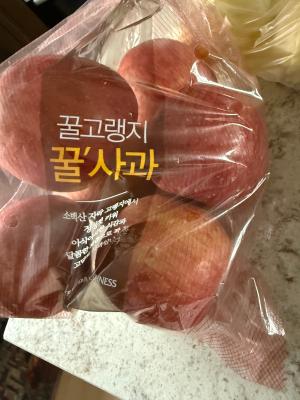 사진후기 대표 이미지