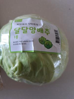 사진후기 대표 이미지