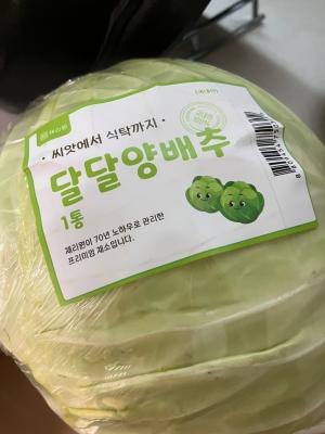 사진후기 대표 이미지