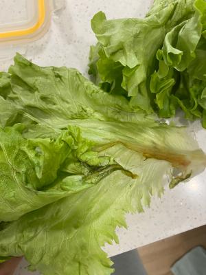 구매후기 사진