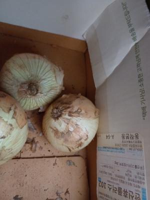 상품평 이미지