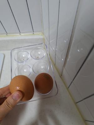사진후기 대표 이미지