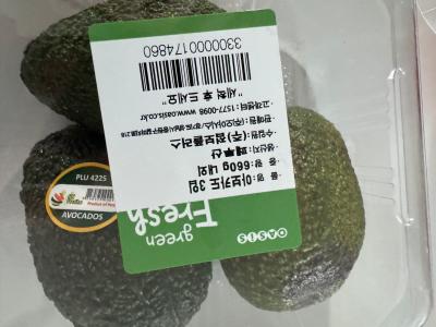 사진후기 대표 이미지